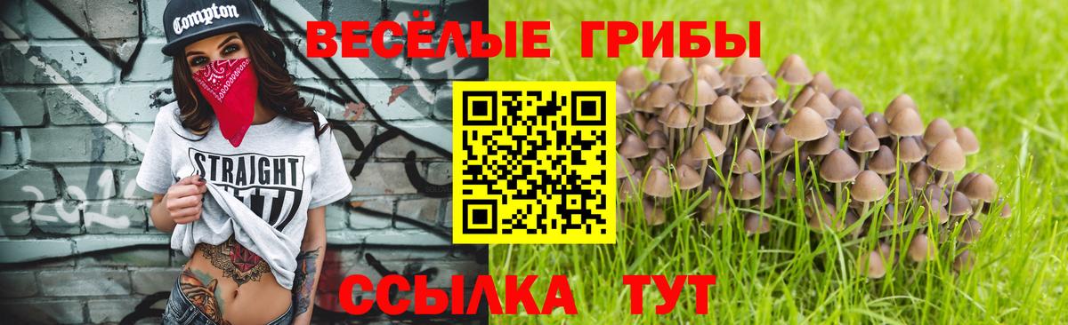 Клинцы  Псилоцибиновые грибы MAGIC MUSHROOMS  Вход с VPN 